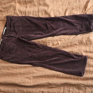 Pilcro and the Letterpress By Anthropologie Brown Cordaroy Skinny Jeans